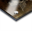 The Beheading of Medusa Acrylic print