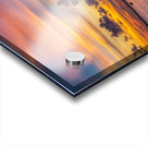    Melbourne Riverside Park Acrylic print