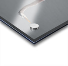 Great Blue Heron Acrylic print