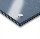 Hooded Merganser  Acrylic print