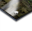 Cypress Forest Florida  Acrylic print