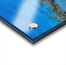 Driftwood Beach Acrylic print