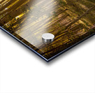 Aspen Afternoons Acrylic print