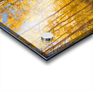 Aspen Path Acrylic print