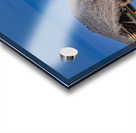 MOONRISE COCOA BEACH PIER Acrylic print