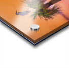 Sunset at Viera Wetlands Acrylic print