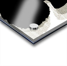 The Write Shadow 1 Acrylic print