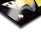 Yellow Reflection 2 Acrylic print