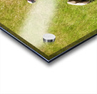 Leftovers Acrylic print