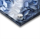 9840 Hydrangea Blue Acrylic print