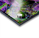 PASSION FLOWERS  Acrylic print