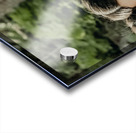 71133F87 F6A3 49EC BC60 CFE1AD6E7B6C Acrylic print