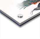 Free Fall Acrylic print