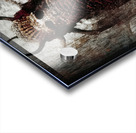 Visage Acrylic print