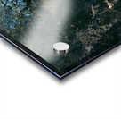 A Pinnacles Trail Acrylic print