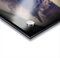 sleepy cortez Acrylic print