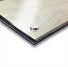 Moonstruck Insomniac 1 Acrylic print