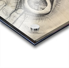 Moonstruck Insomniac 2 Acrylic print