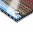 Caladium fields LakePlacid FL Acrylic print