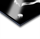 Shadow Puppet Acrylic print