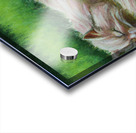 Pink Siberian Acrylic print