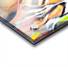 Crouched Tiger Hidden Dragon Acrylic print