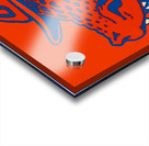 Vintage Florida Gator U of F Hat Print Acrylic print