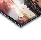 After the Storm Acrylic print