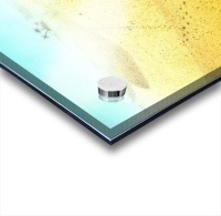 Cat Sandbox Acrylic print