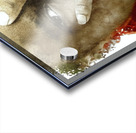 Hand  Face Acrylic print