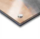 Desert Bloom Acrylic print