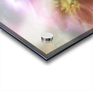 62D6BD45 BAC3 4609 9903 627048760705 Acrylic print