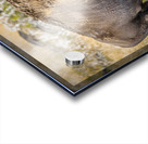 Moving On Acrylic print