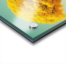 Yellow Tree Acrylic print