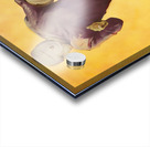 Autumn Gridiron Sunset Acrylic print