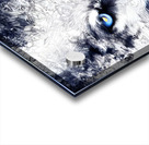 05619FF6 BAEC 427B B76D 07ABD734E2C3 Acrylic print