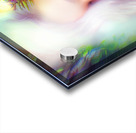 Charming Portrait III Acrylic print