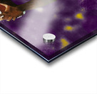 LSU Tigers Football Painting Acrylic print