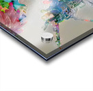 AF62EE04 A4ED 4444 A99F D52E2C4CFC9F Acrylic print