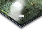 Pathway Series- 1 Charons Garden Acrylic print