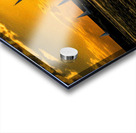 2B2601B3 1EA9 4FFB BE34 6DF4F948F7C8 Acrylic print