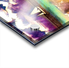 550C0503 FAAD 4487 9799 C23AC070FFF0 Acrylic print