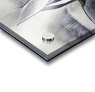 5A316BD0 5DF5 4E5D 8A44 575239D684F1 Acrylic print