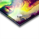 74CB0272 C55E 4168 8C2F 22ACC6D3255A Acrylic print