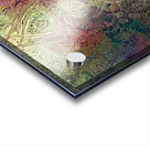 71DDFCBF 0D3B 4F6E 8EAD 65B2E92EBD66 Acrylic print