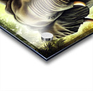 63E02866 1353 47FA ACDA 4D3382407240 Acrylic print