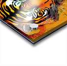 C7D88B1F 1333 49BC A271 3B262E2CEA4C Acrylic print