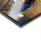 8AECF687 5209 4F77 8C72 FE12A4D7A7A7 Acrylic print