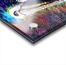 71BE1B71 7D79 46E6 8D8F 41FA525C8C33 Acrylic print