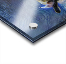 BB011F6D 2551 4BAC AF56 488A4E87622D Acrylic print